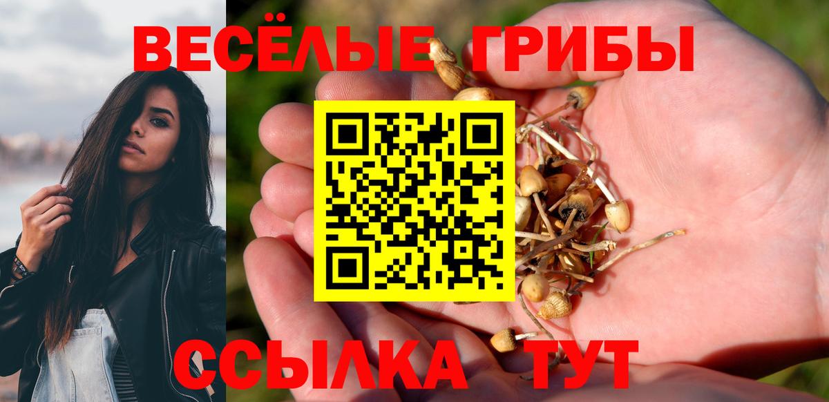 Псилоцибиновые грибы Psilocybe Набережные Челны